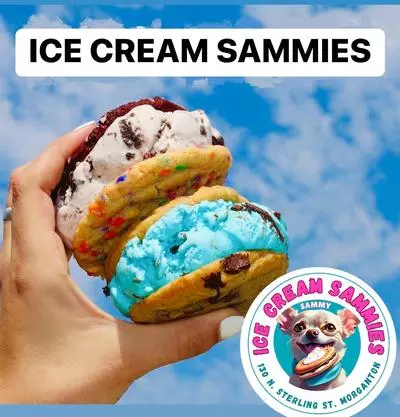 ice cream sandwich