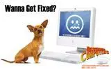Discerner Computers & Foothills Internet Services