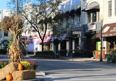 Downtown with harvest decor