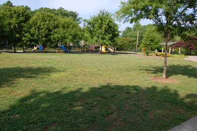 Grass and play structure