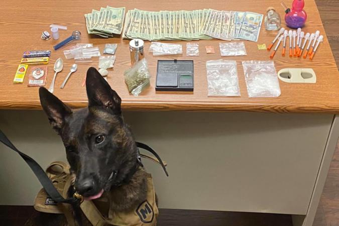 K9 Tigo with illegal paraphernalia