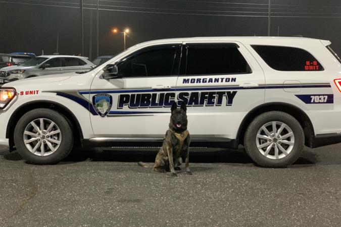 K9 Jaros